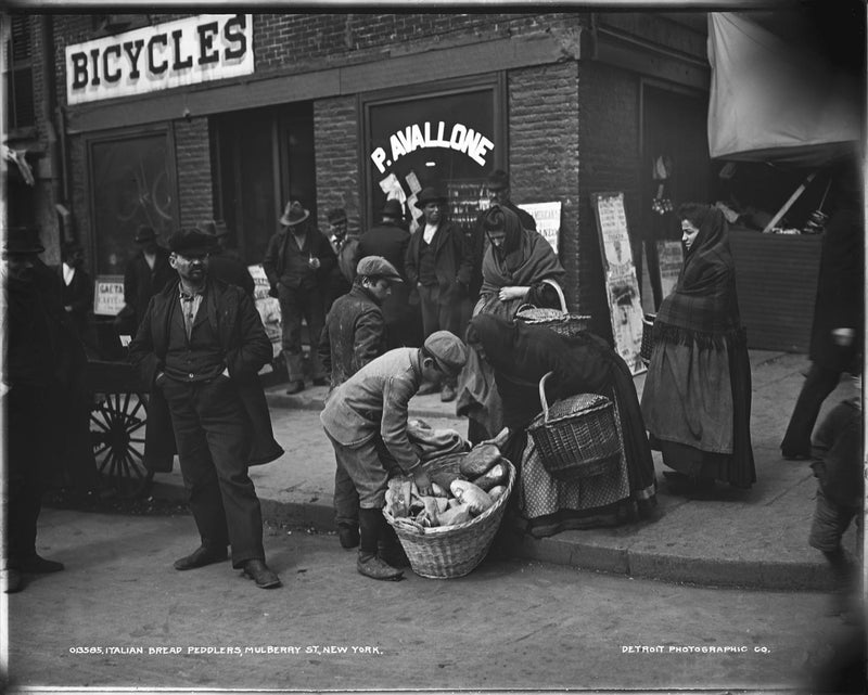 Italian Bred Peddlers, Mulberry Street, New York