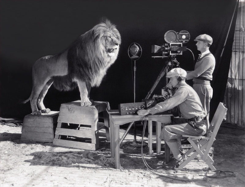The Metro Goldwyn Mayer Lion