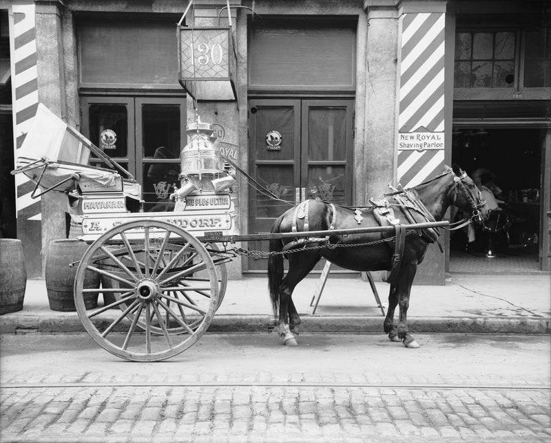 A Typical Milk Cart, New Orleans, Louisiana