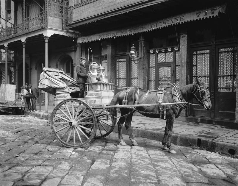 A Typical Milk Cart, New Orleans, Louisiana