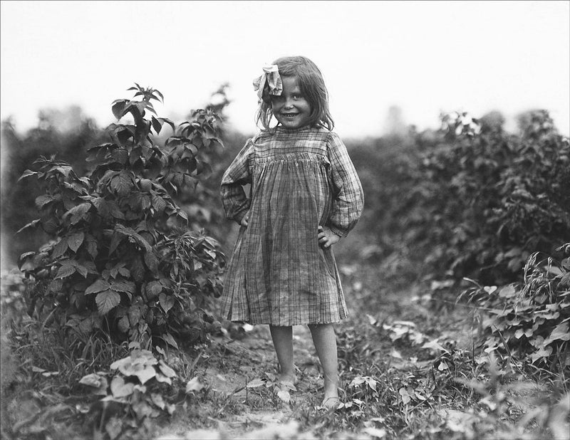 Laura Petty, a 6 Years Old Berry Picker on Jenkins Farm, Rock Creek, Maryland