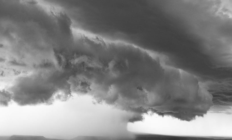 Last Day of the Monsoon, Black and White