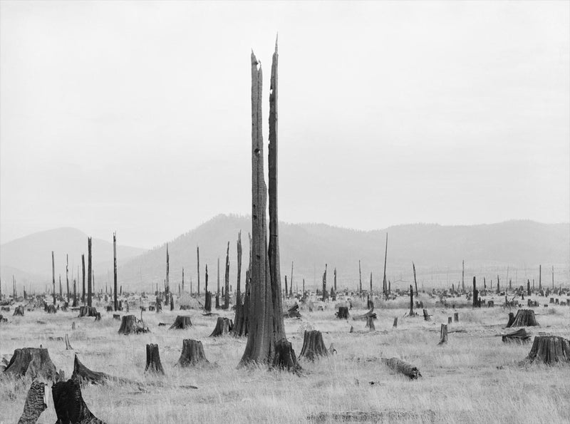 Priest River Valley, Idaho