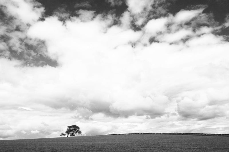 country View, United Kingdom