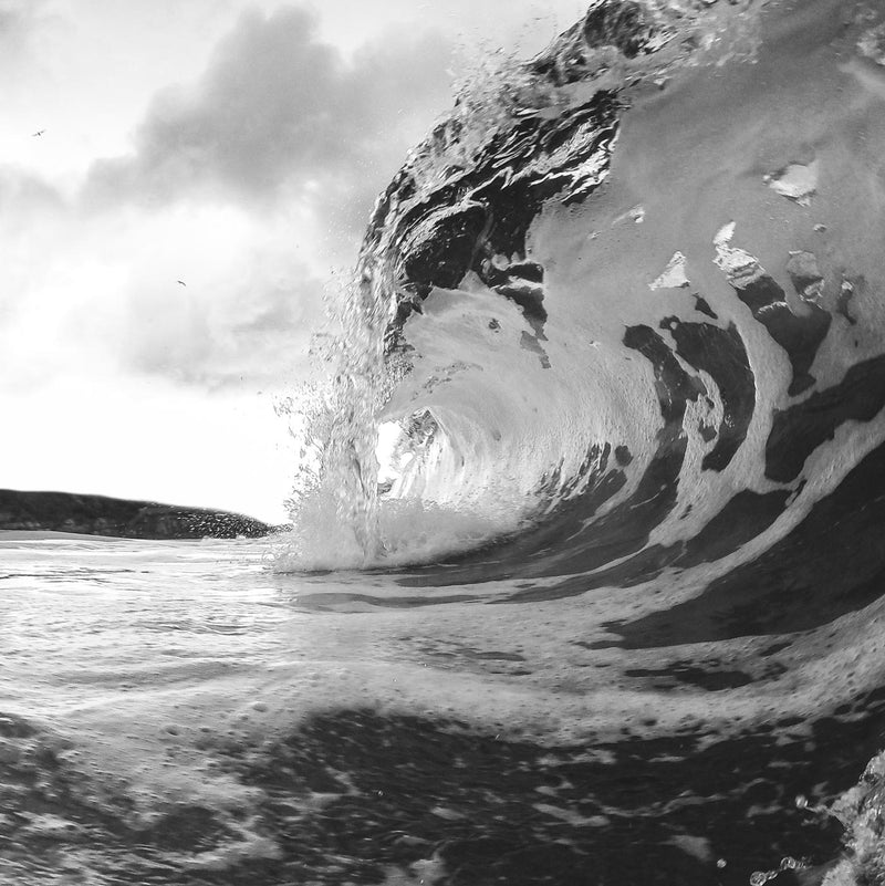 The Big Wave