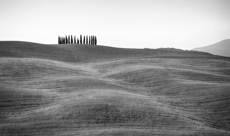 Toscana, Italia, Black and White