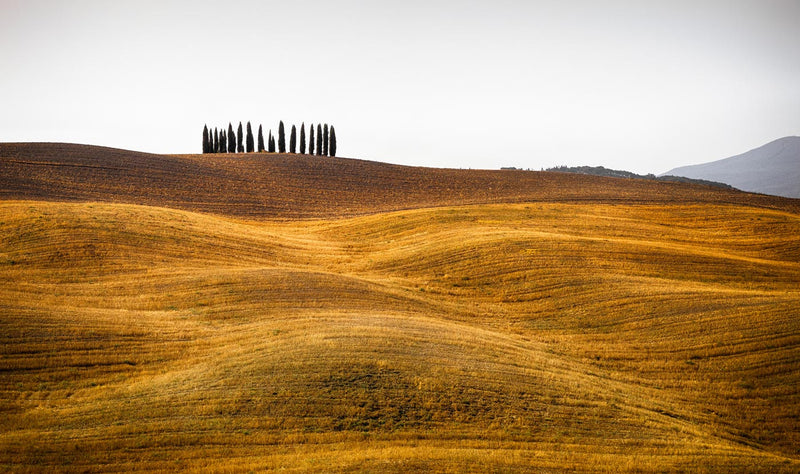 Toscana, Italia