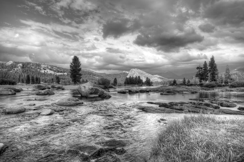 Tuolumne Rive, Yosemite National Park, California