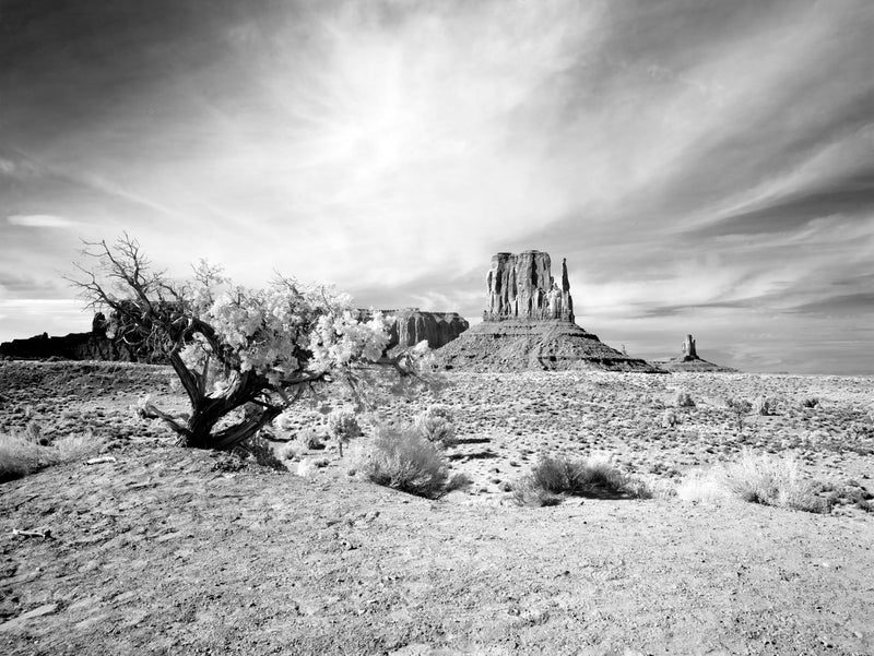 Monument Valley, Arizona