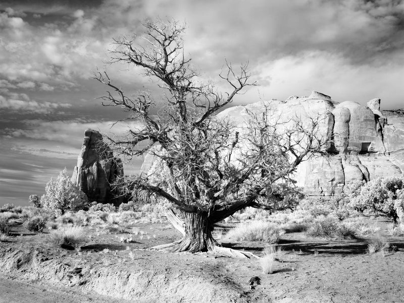 Monument Valley, Arizona