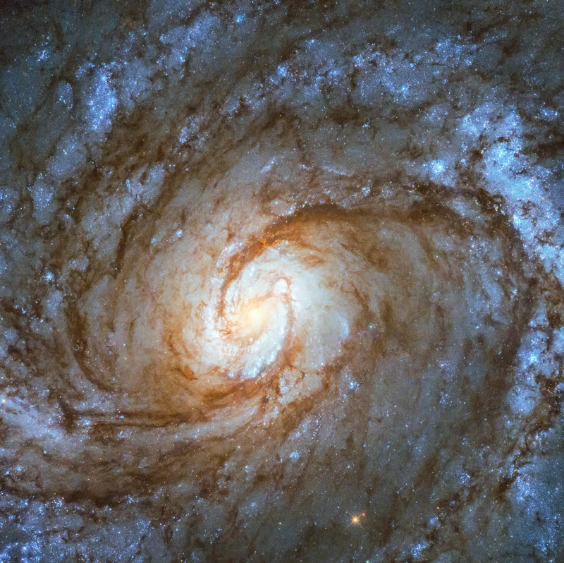 Messier 100, Spiral Galaxy