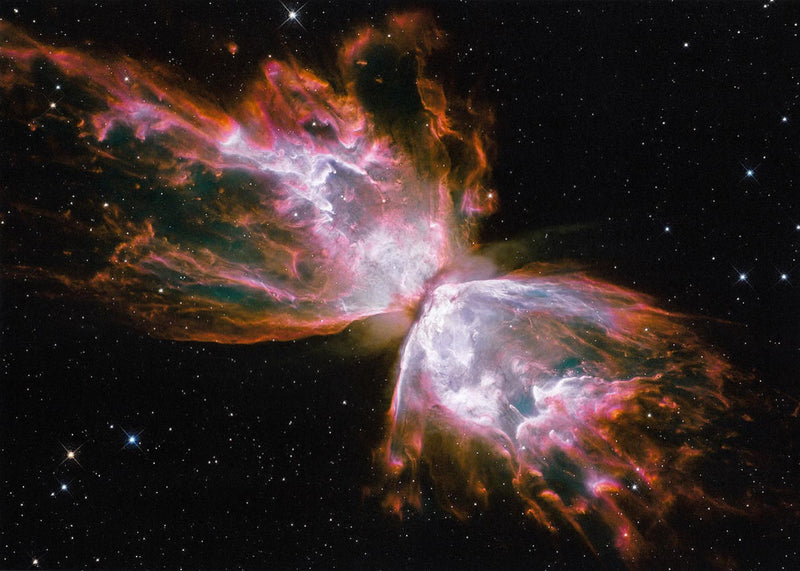 Butterfly Nebula