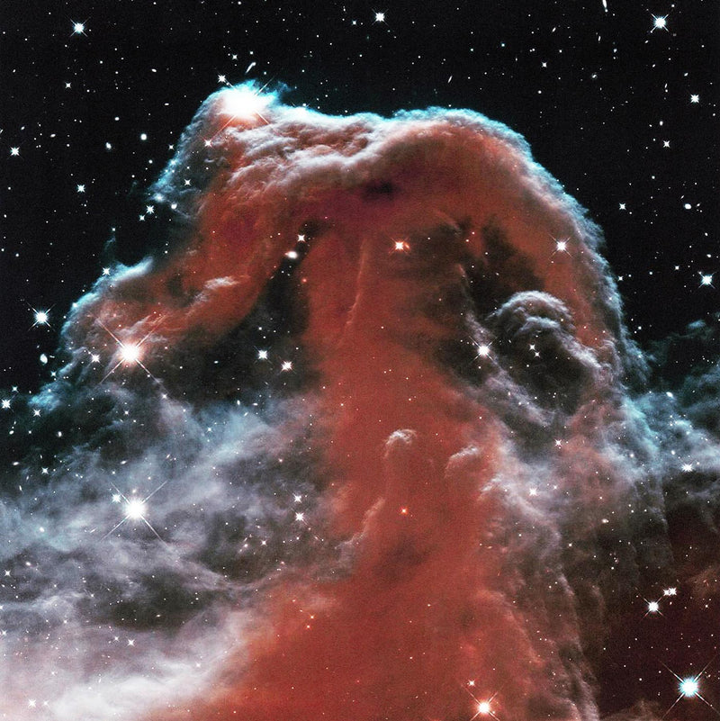 Horsehead (detail)