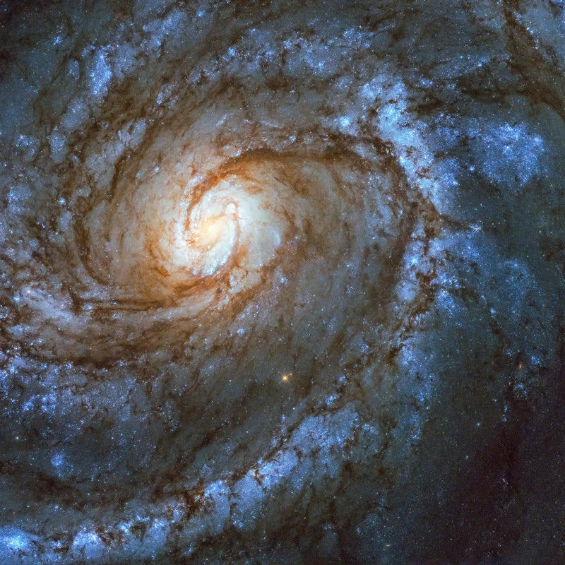 Messier 100, Spiral Galaxy