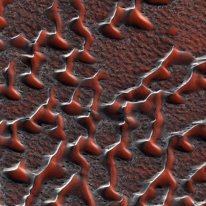 Planet Mars (detail)