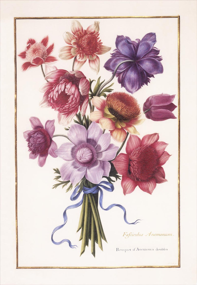 Florilegium of Prince Eugène de Savoie