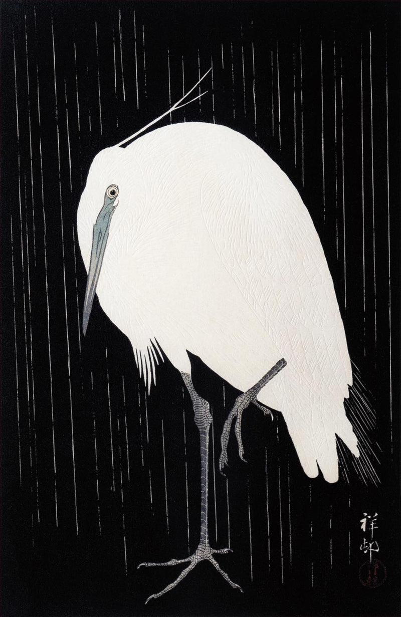 Egret in the Rain