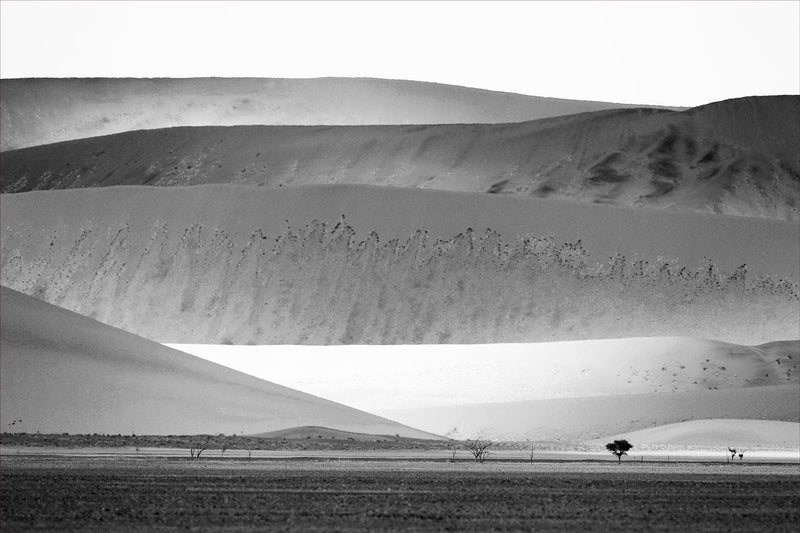 Sand Dunes, Namibia, Black and White 