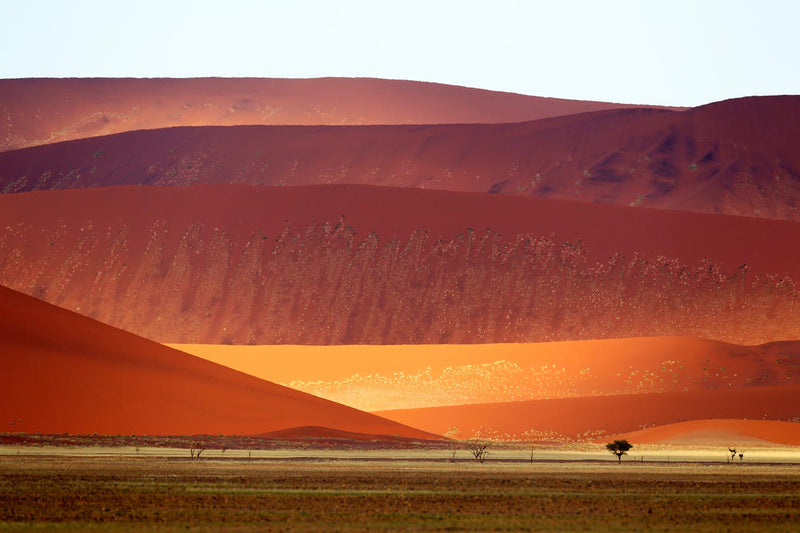 Sand Dunes, Namibia 