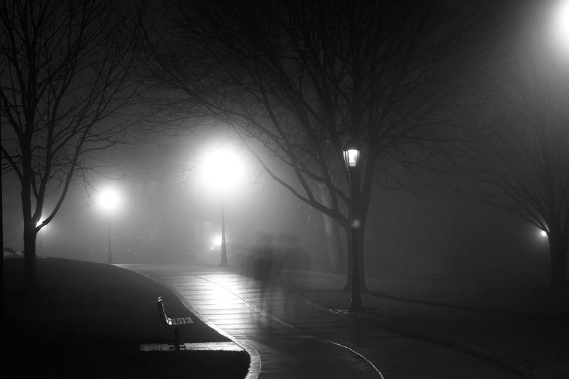 Foggy Walk