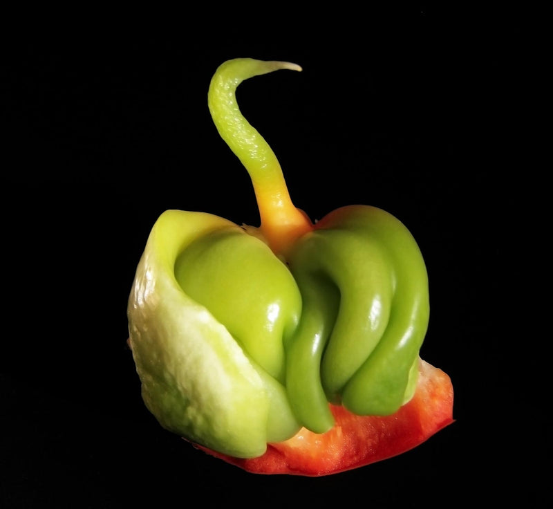 Baby Bell Pepper