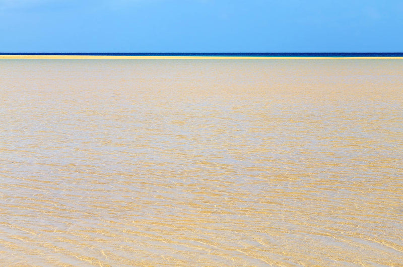 Playa Risco del Paso, Canary Islands, Spain