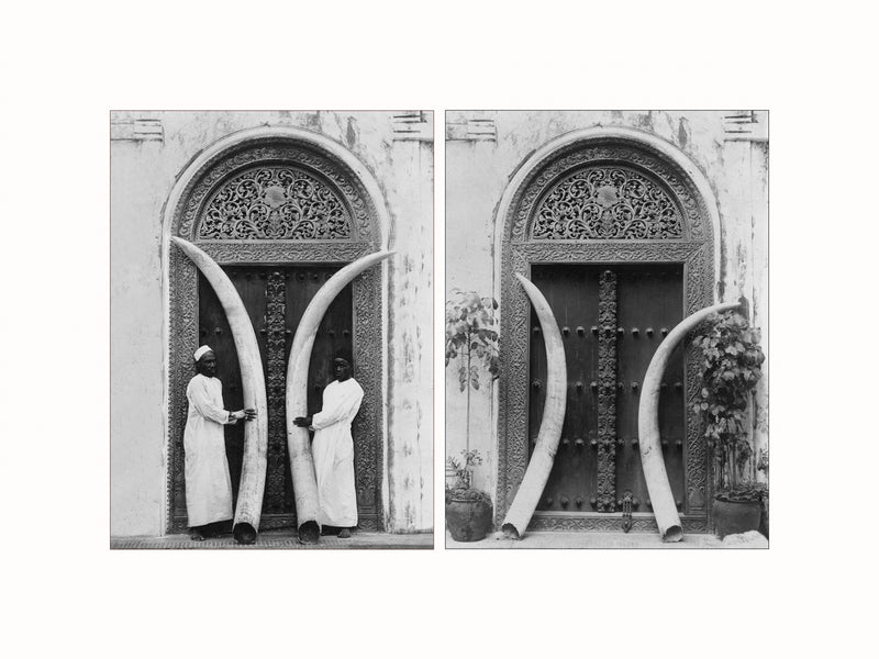 Doorway and Ivory Tusks, Zanzibar, c1915 - diptych