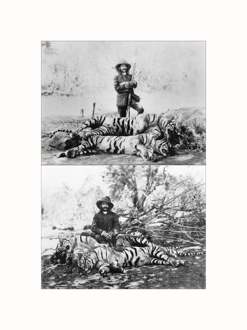 Hunting with the Nizam, India, c1890 - diptych