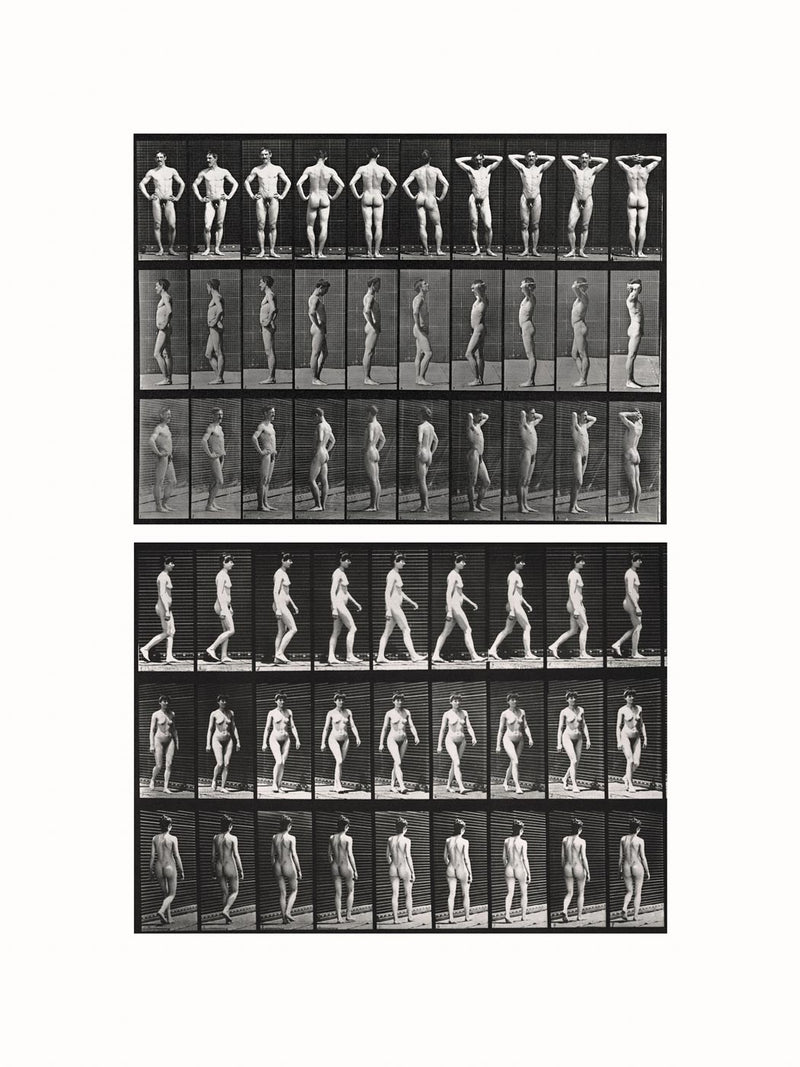 Photographic Motion Study, Plate 83, c1887 - diptych