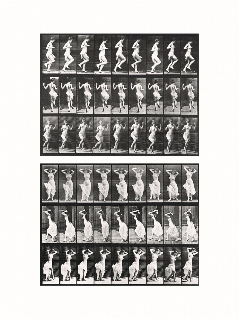 Photographic Motion Study, Plate 84, c1887 - diptych