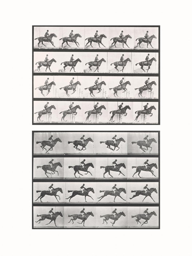 Photographic Motion Study, Plate 85, c1887 - diptych