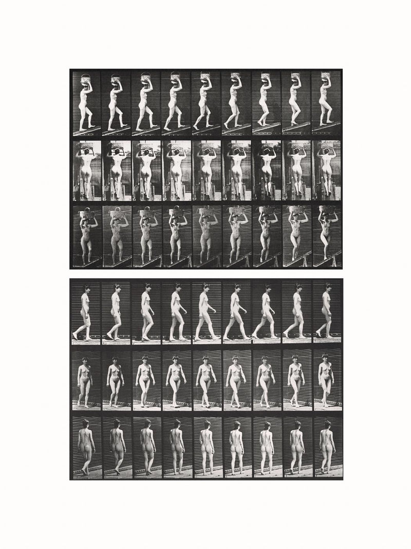 Photographic Motion Study, Plate 86, c1887 - diptych
