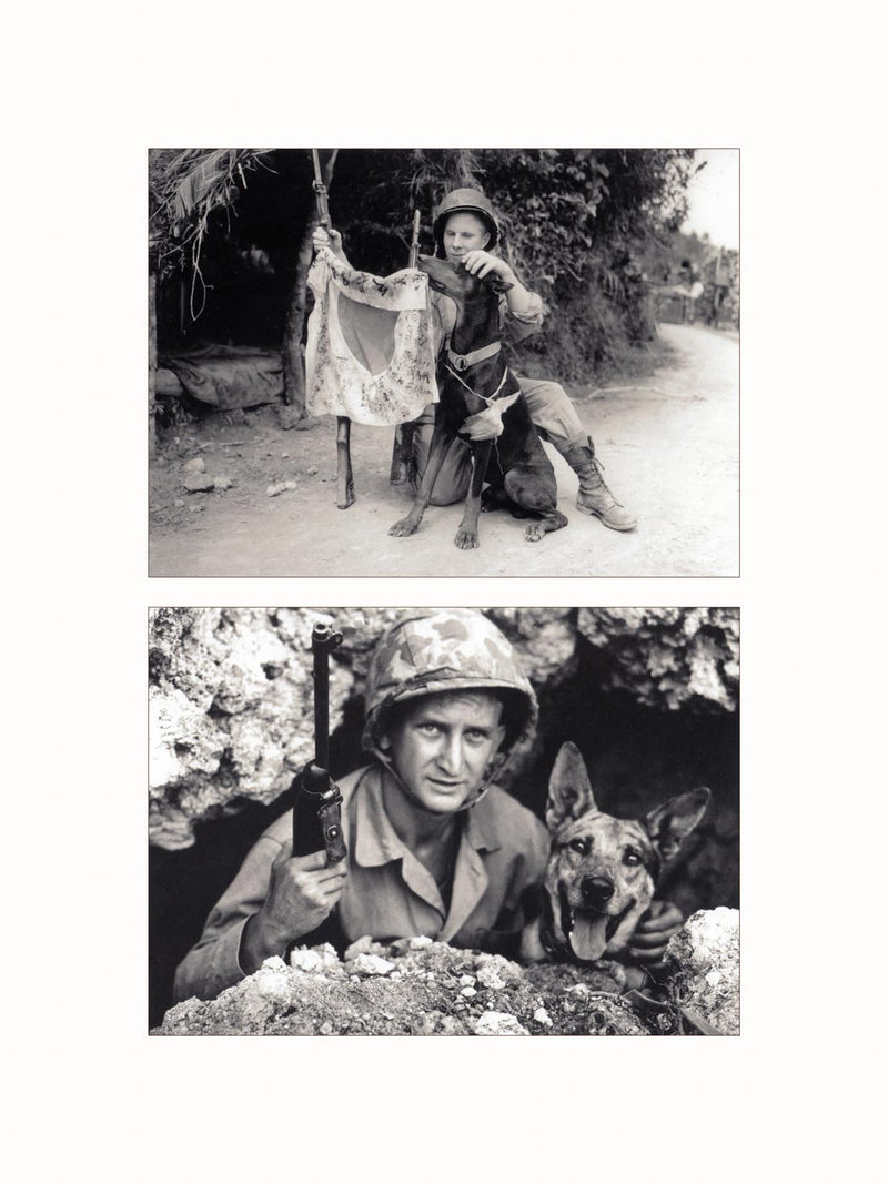 War Dogs, Okinawa, Japan, 1945 - diptych