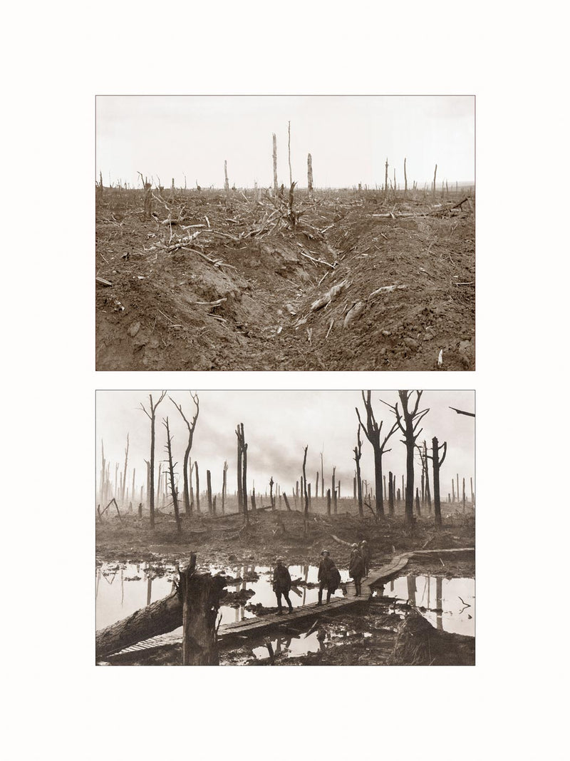 Desolation, World War I - diptych