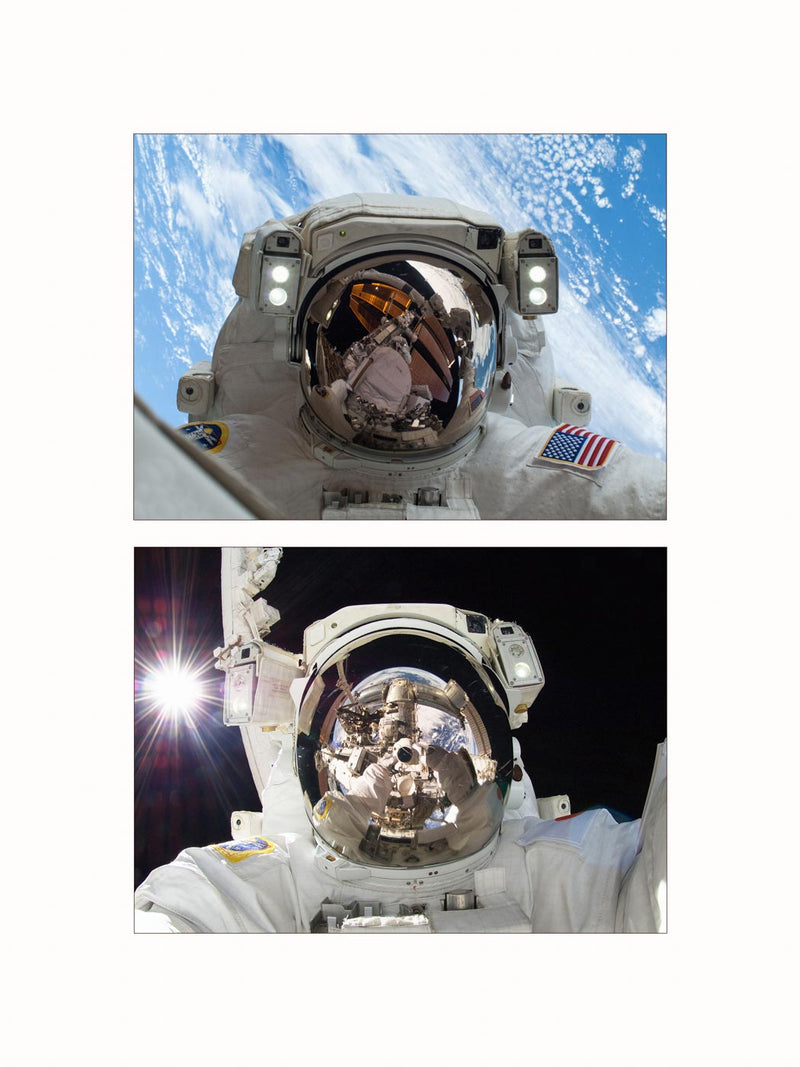 Selfies in the Space, 2012-2013 - diptych