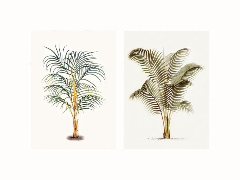 Palm Trees, c1860-1870 - diptych