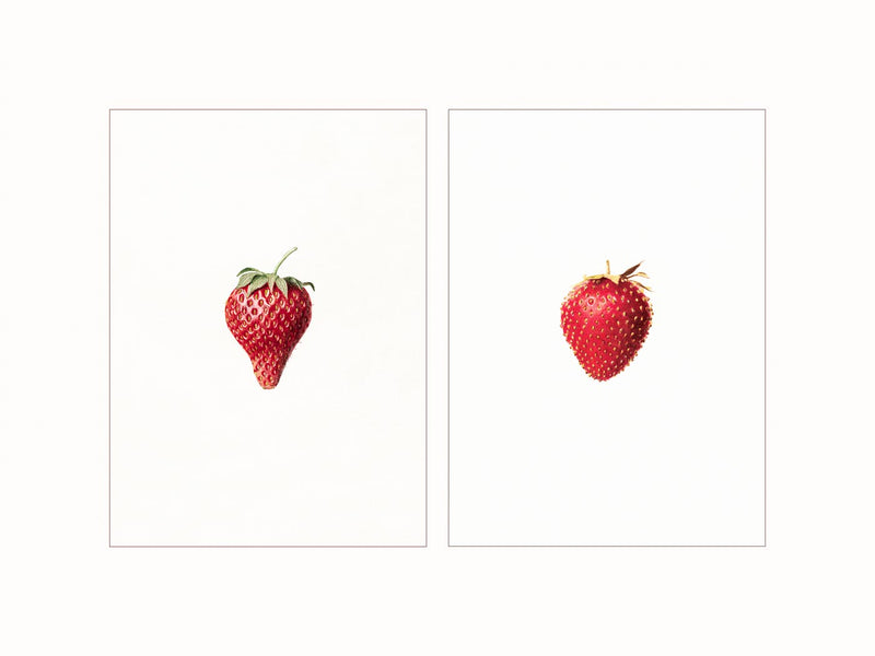Strawberries, 1929 - diptych