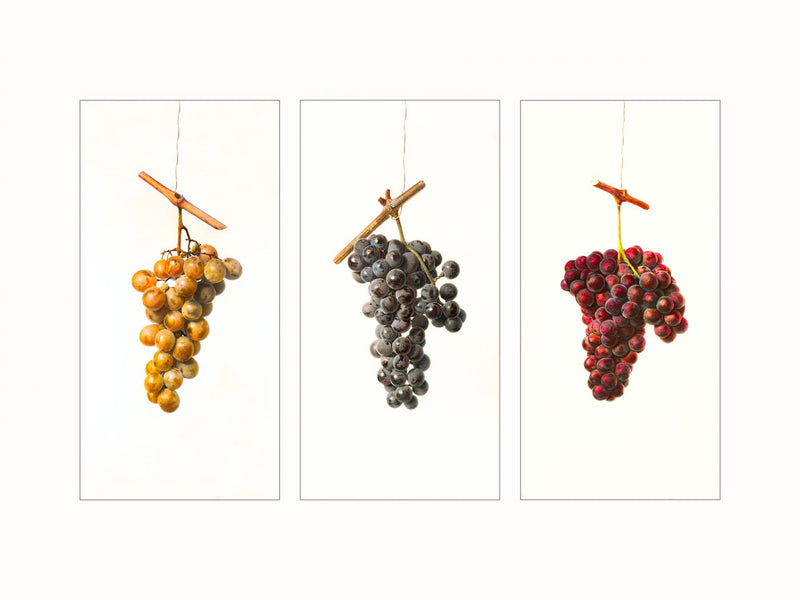 Grapes - triptych