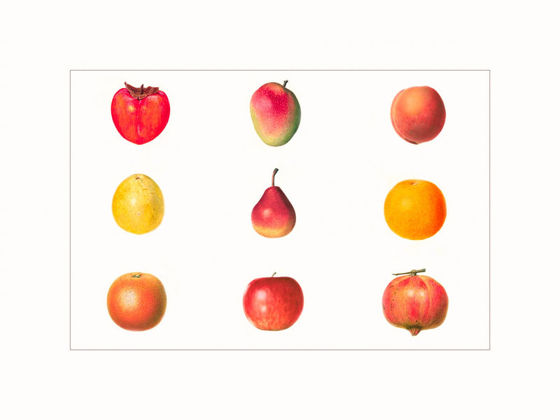 Fruits  (polyptic)