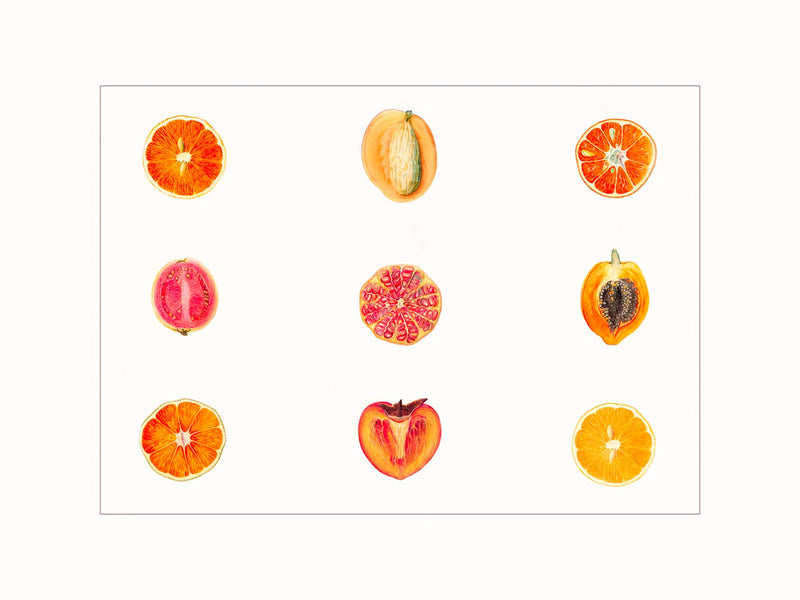 Fruits  (polyptic)