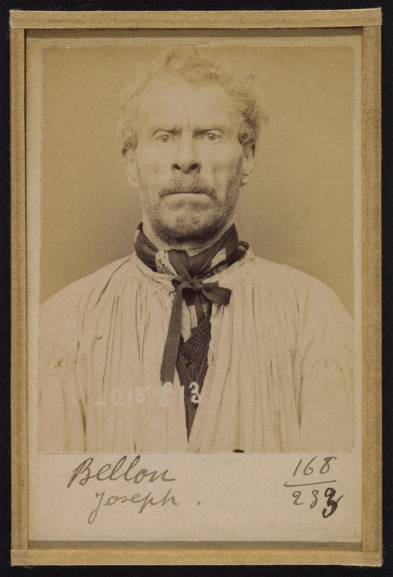 Joseph Alexandre Bellon, Journalier, Anarchiste