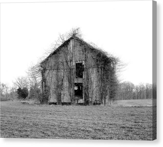 Abandoned Barn / Art Photo - Canvas Print