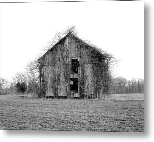 Abandoned Barn / Art Photo - Metal Print