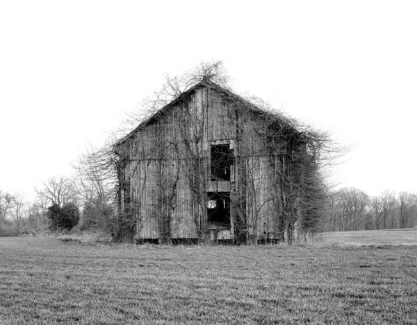 Abandoned Barn / Art Photo - Art Print