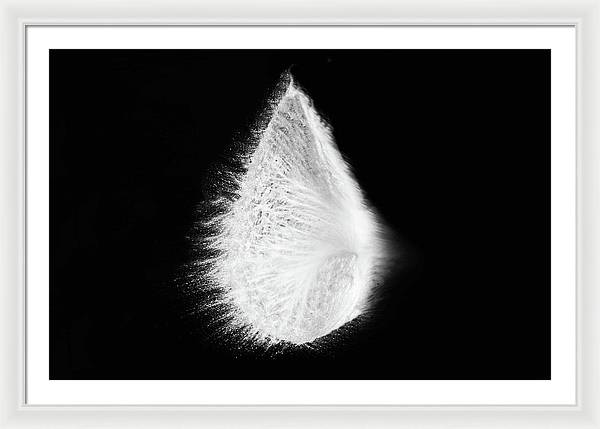 Abstract, Monochrome / Art Photo - Framed Print