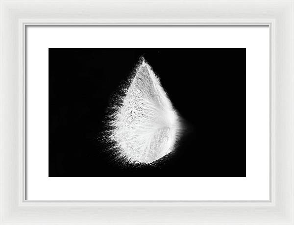 Abstract, Monochrome / Art Photo - Framed Print