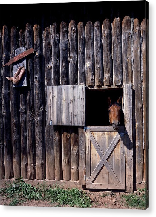 American Barn / Art Photo - Acrylic Print