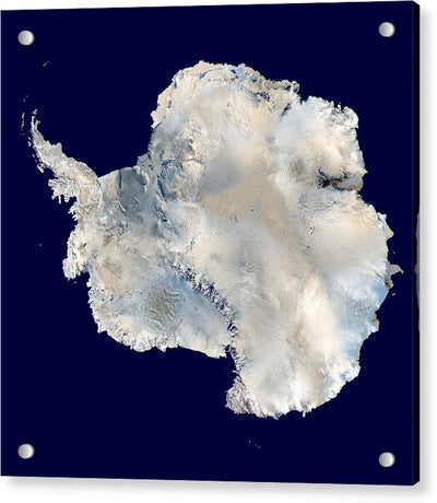 Antarctica / Art Photo - Acrylic Print