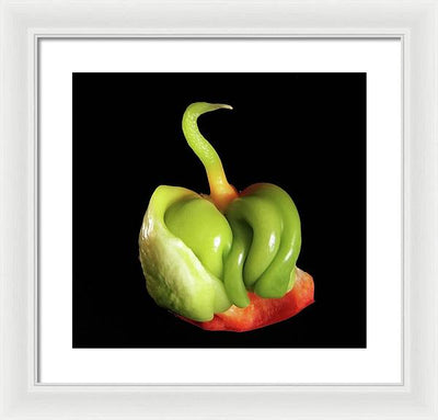 Baby Bell Pepper / Art Photo - Framed Print