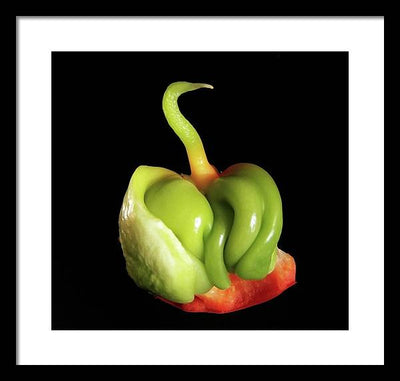 Baby Bell Pepper / Art Photo - Framed Print